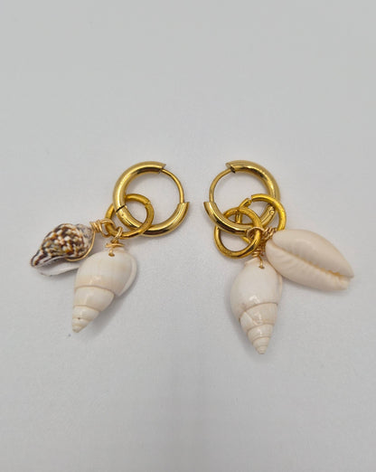 Shell Dangle Earrings